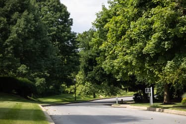 Driveway.JPG